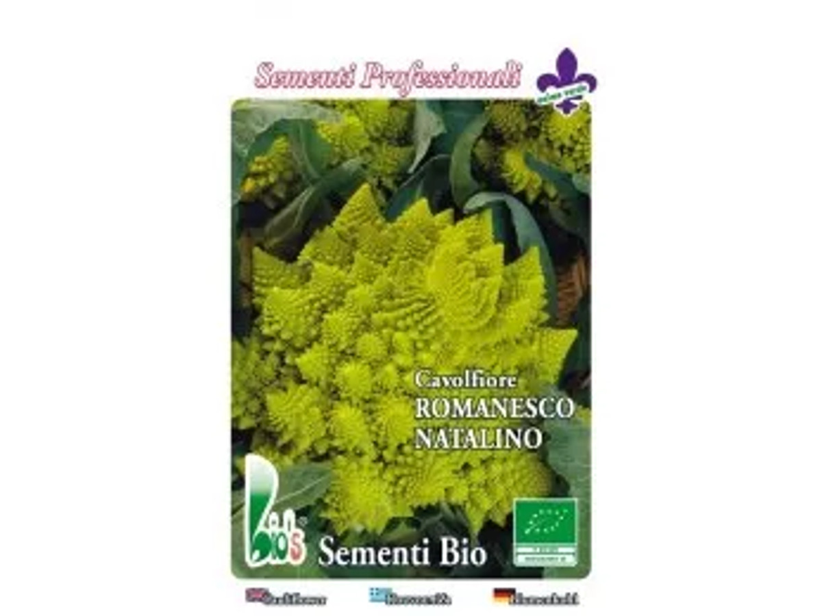 Brócoli Romanesco ecológico