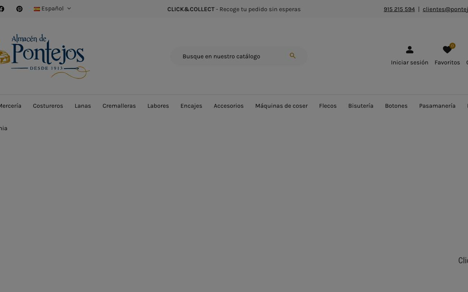 Captura limpia de la página de inicio de Pontejos