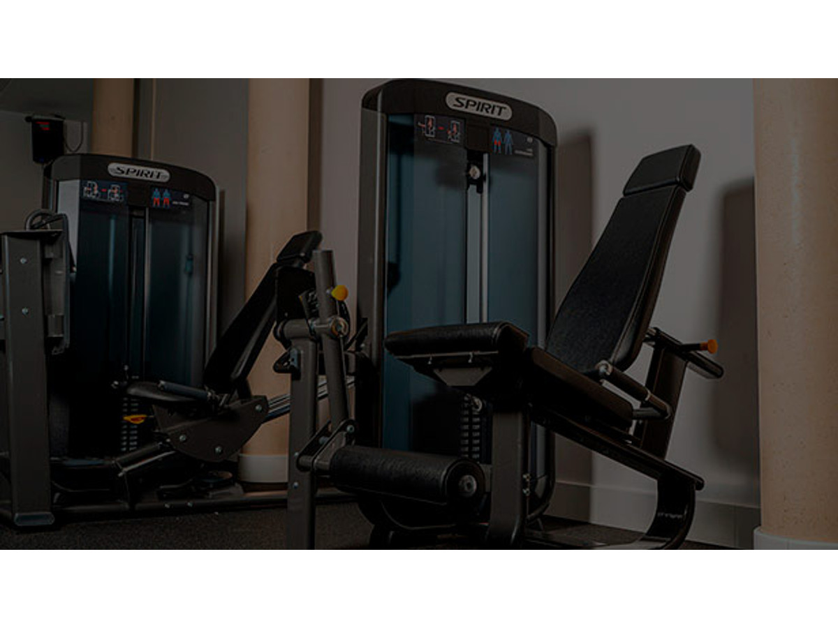 Bancos de musculación