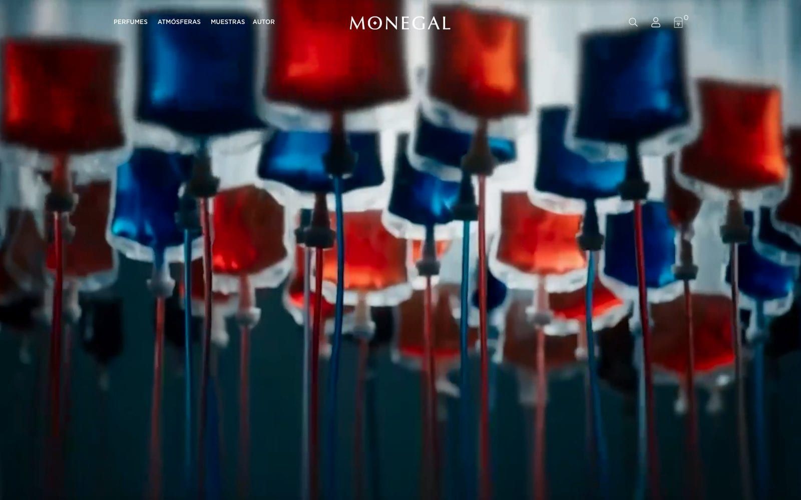 Captura real de la home de Ramon Monegal