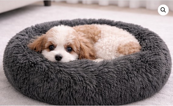Cama Redonda para Perro 60 cm Desenfundable – Cómoda y Antideslizante