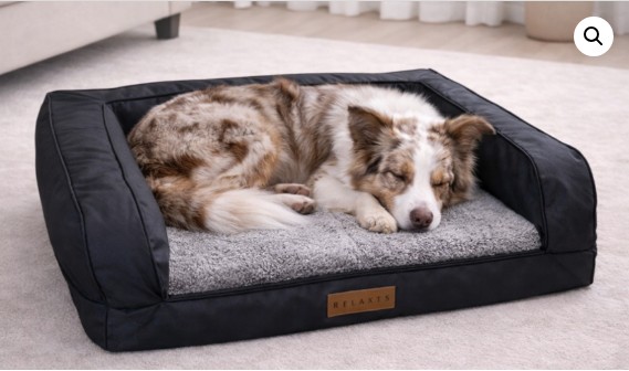 Cama Ortopédica para Perro 80×60 – Viscoelástica y Resistente