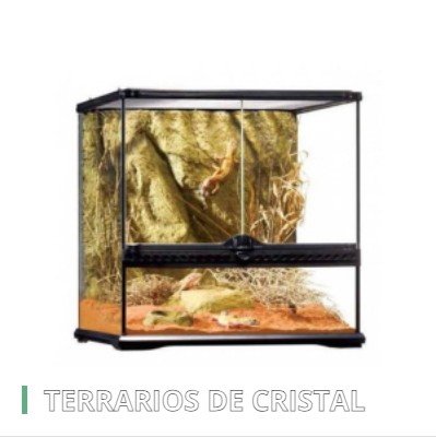 TERRARIOS