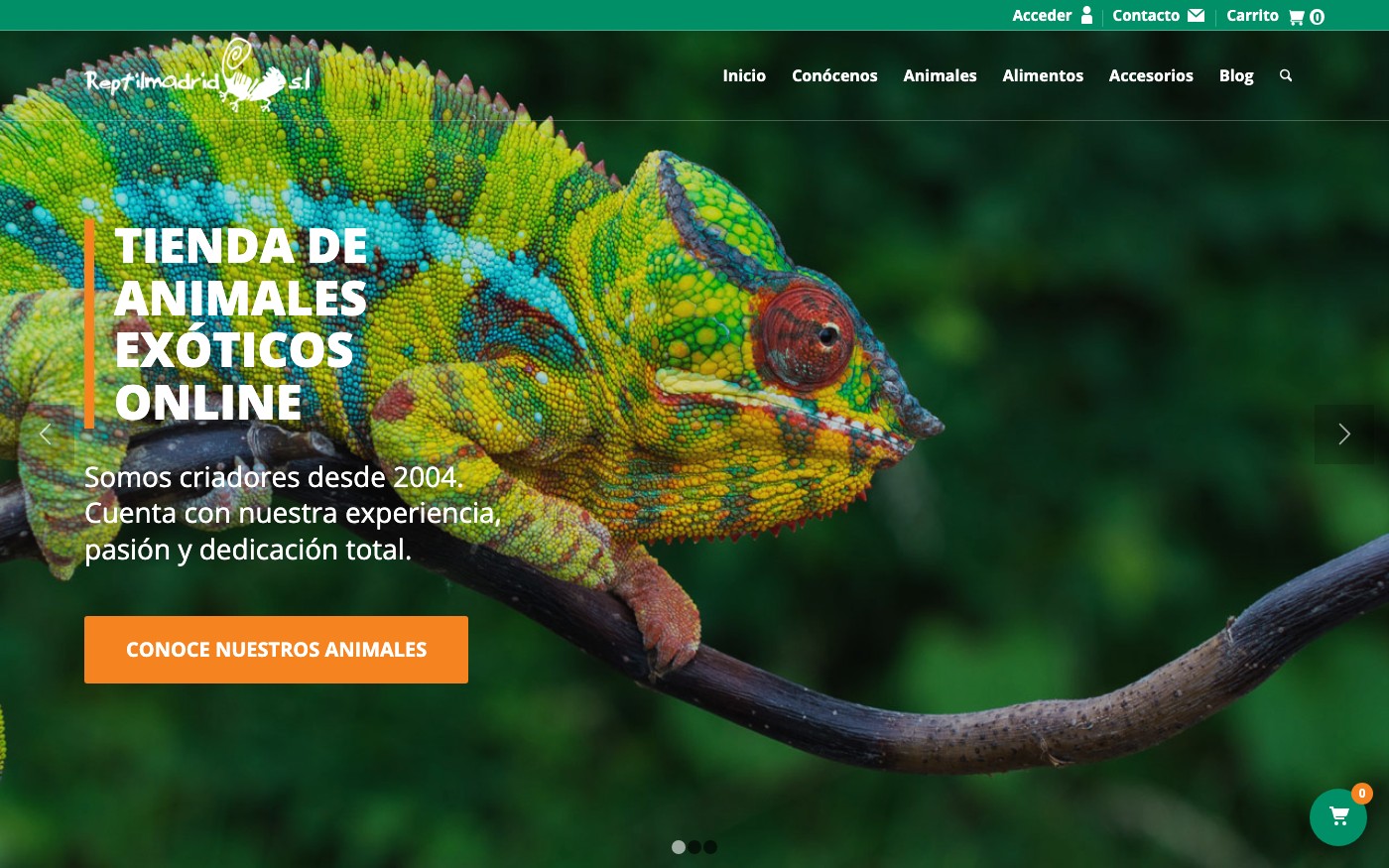 Captura de pantalla de la home de Reptil Madrid