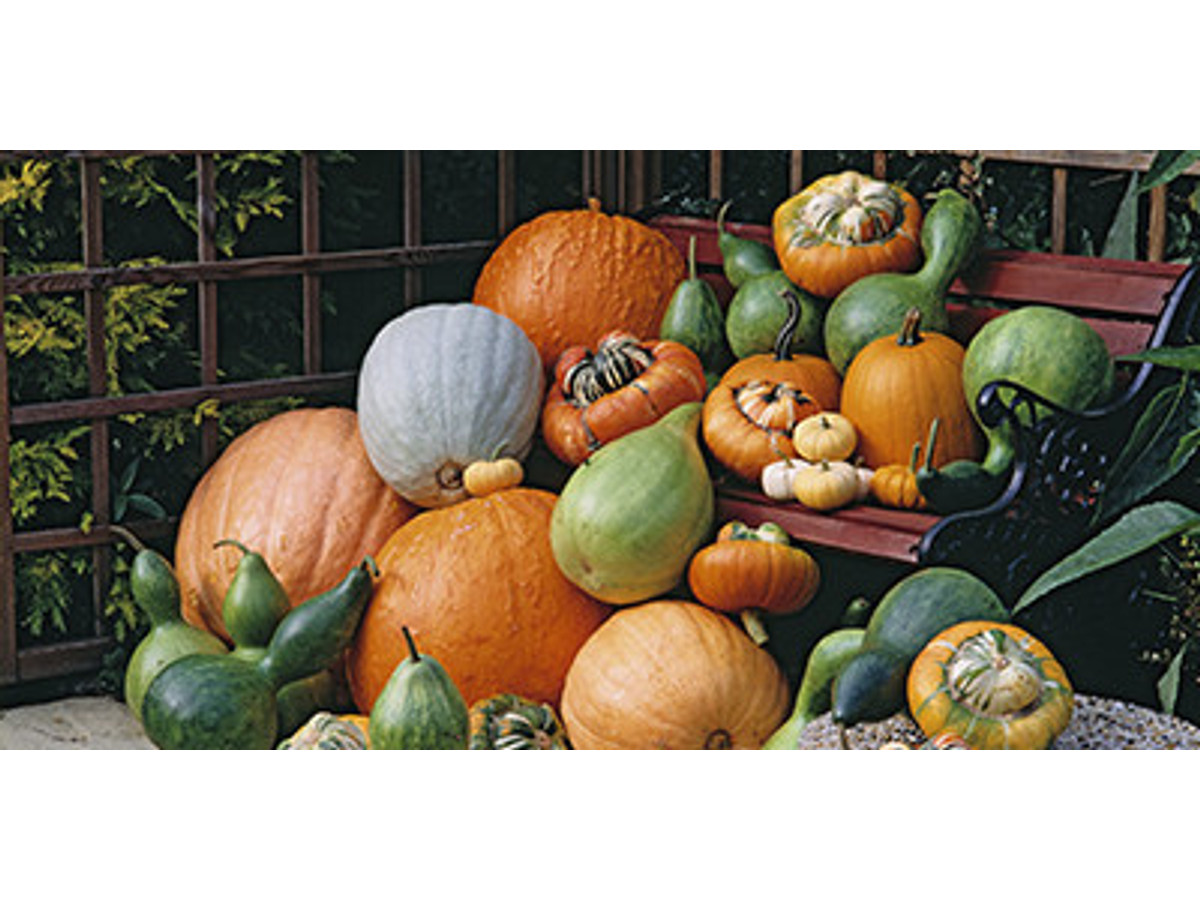 Calabazas