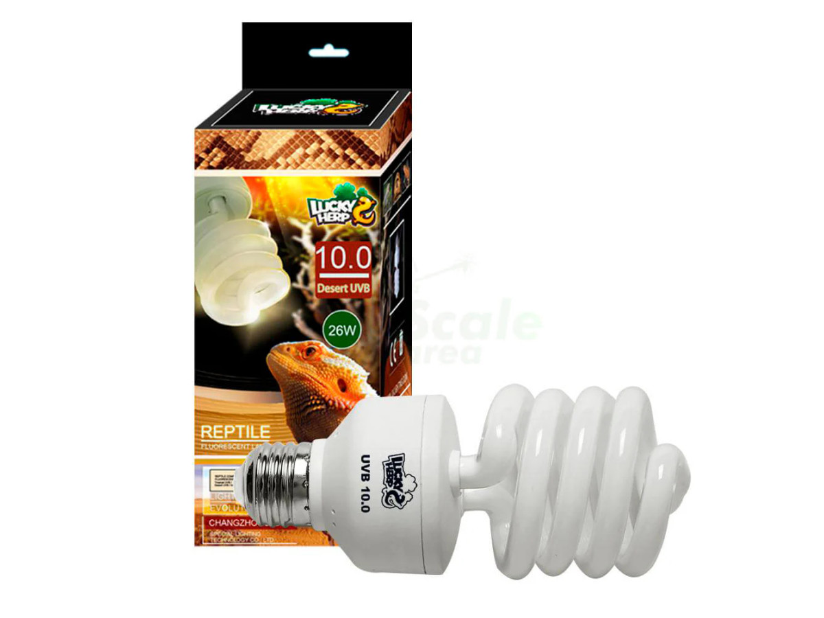 Bombilla UVB 10.0 compacta