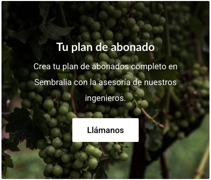 404 No encontrado