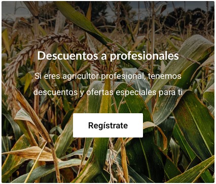 404 No encontrado