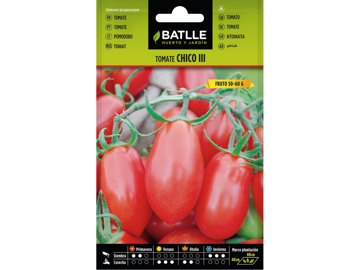Tomate Chico III