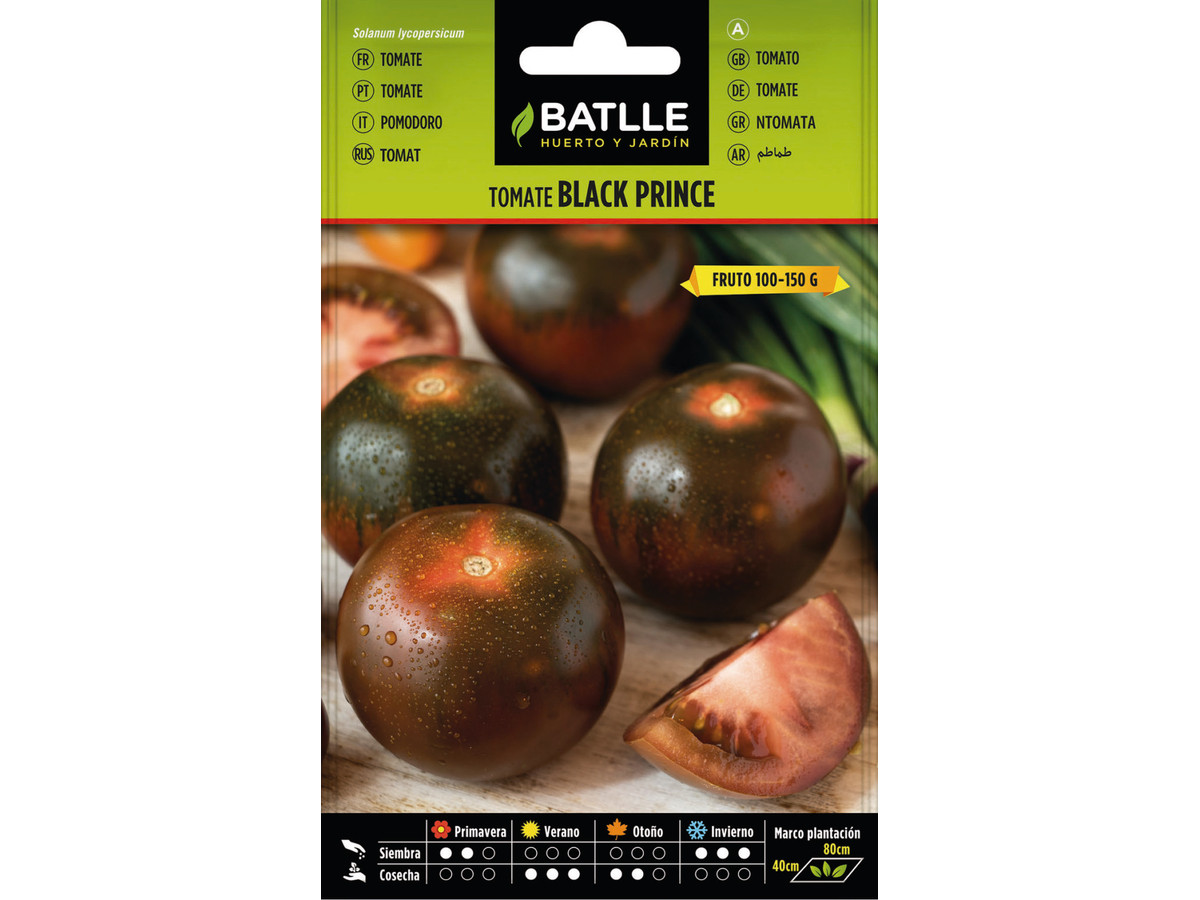 Tomate Black Prince