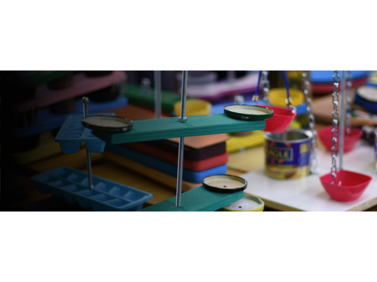 Minipacks de educación canina online