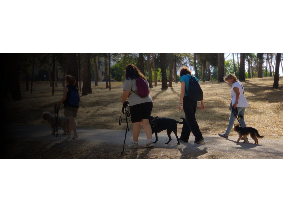 Curso de educación canina