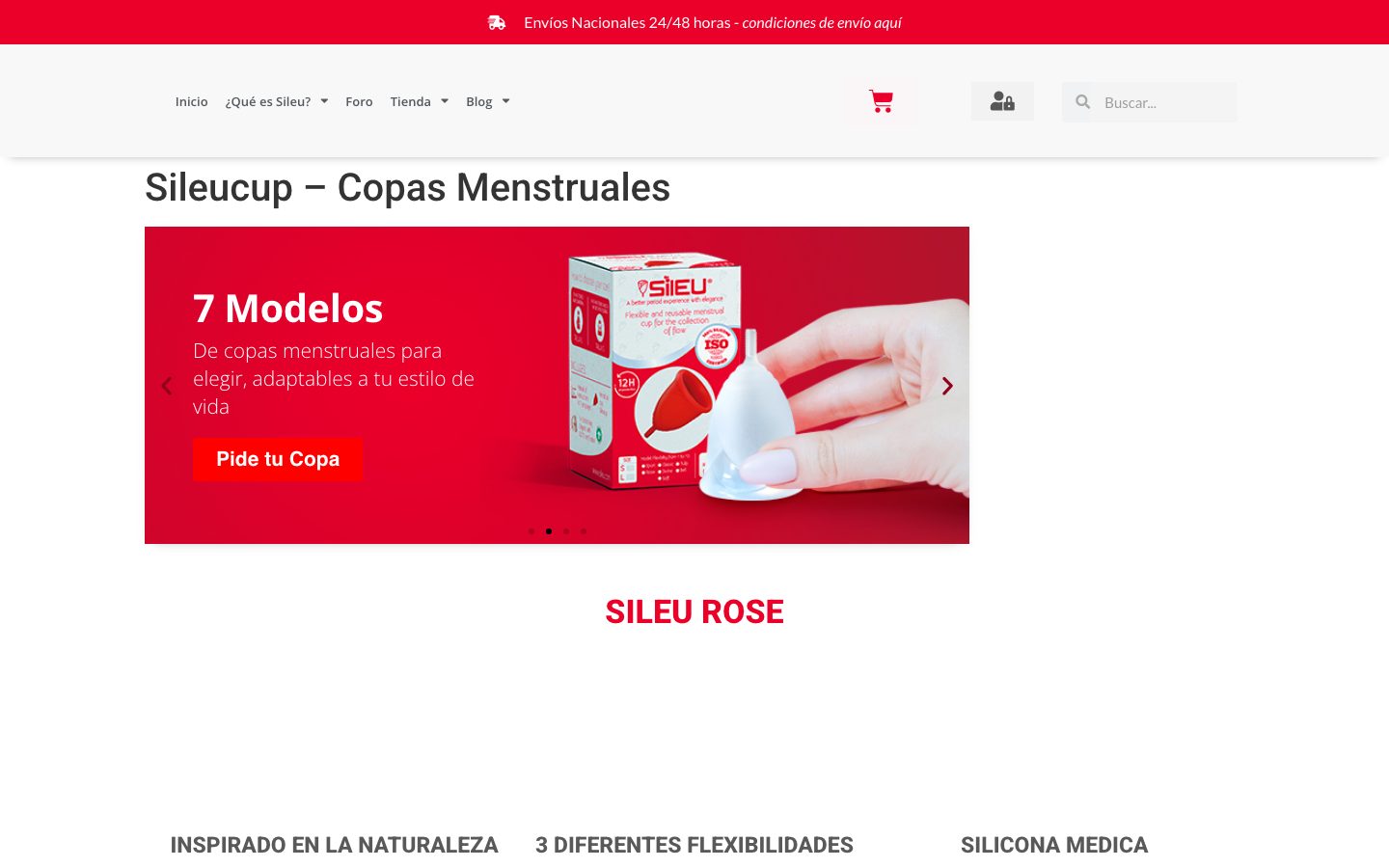 Captura limpia de la home de Sileu