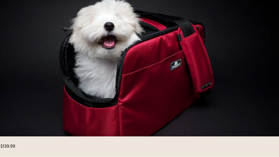 Sleepypod Atom Crash-Tested Carrier