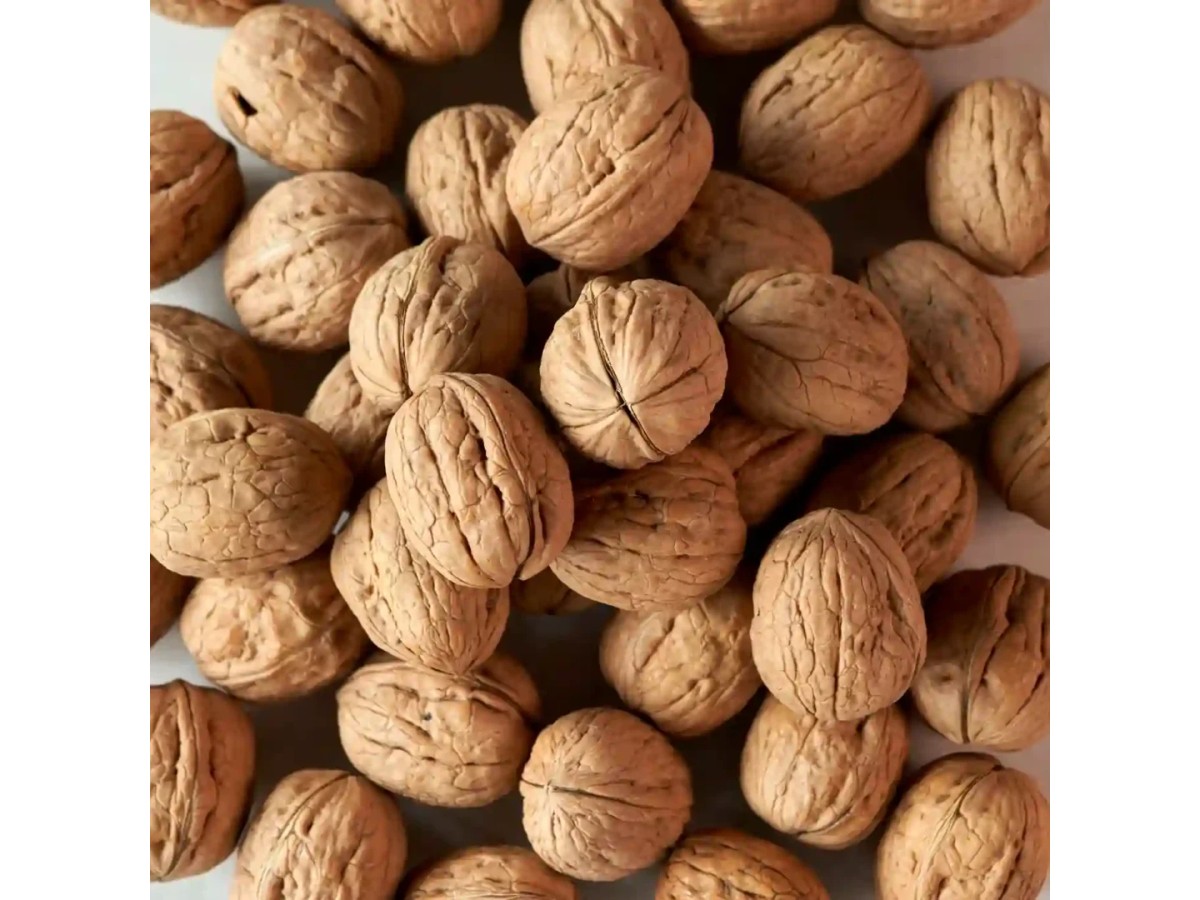 Nueces