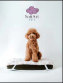 Cama Ortopédica con Topper Térmico para Perros – SoñArt Pet®