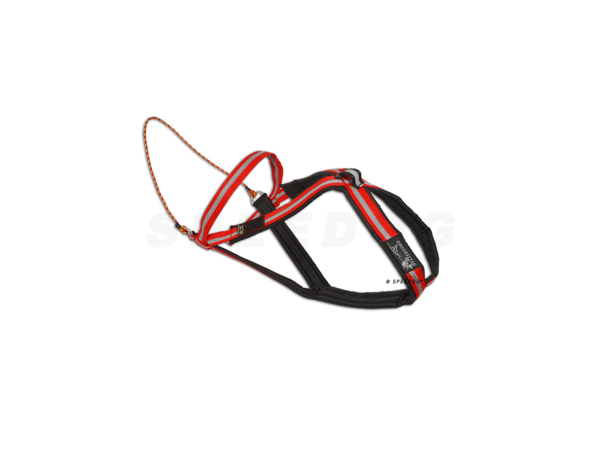 Speedog Arnés Multi-Sport Dragrattan
