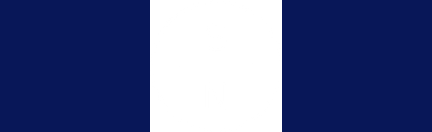 Logo de Studio Neat