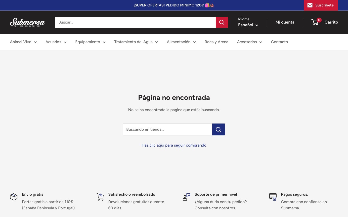 404 No encontrado