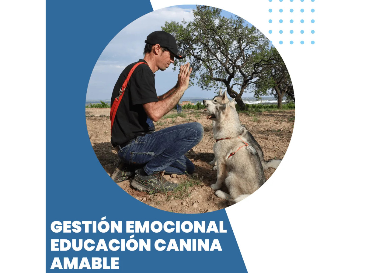 Sesiones premium