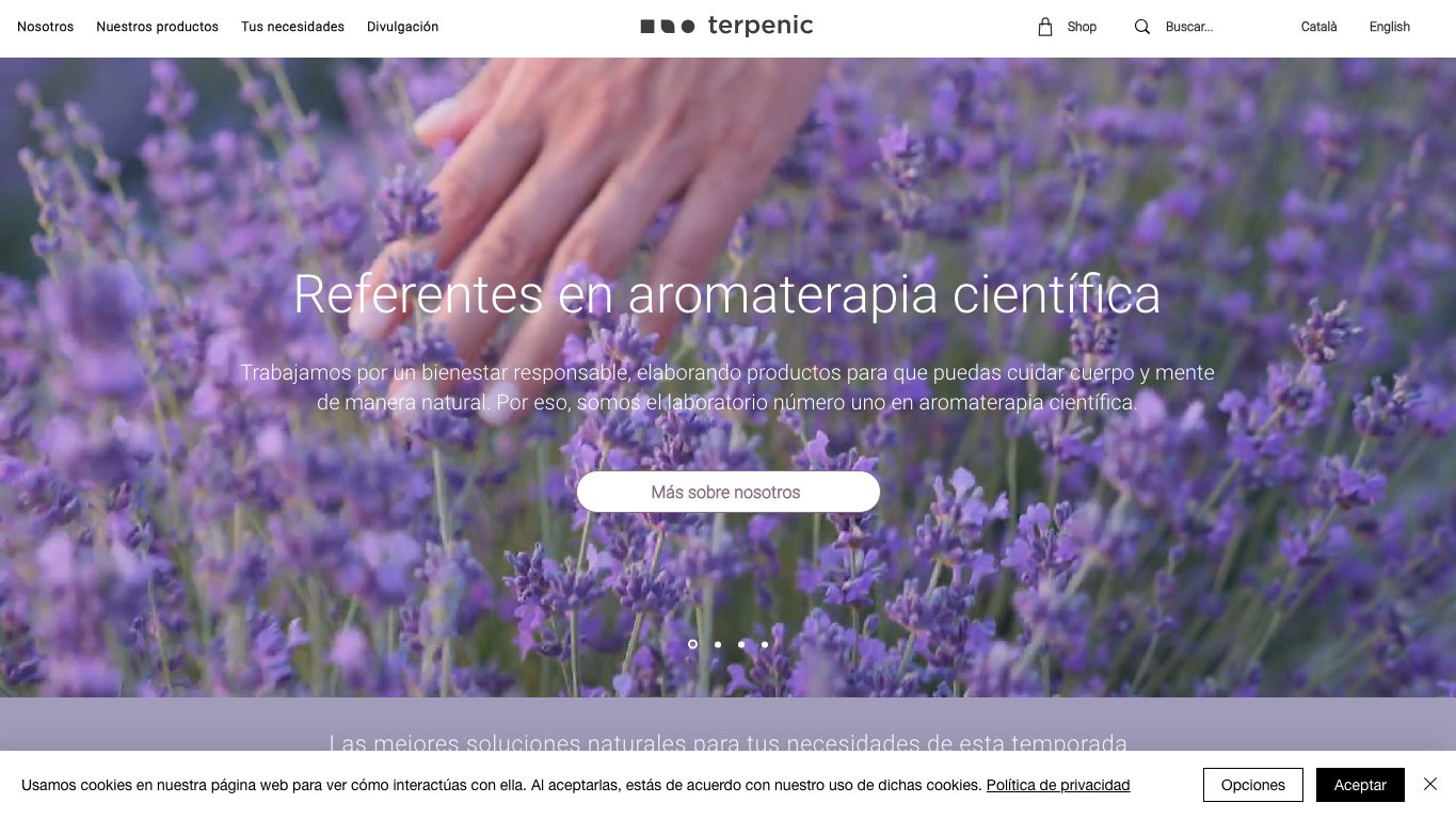 Captura real de la home de Terpenic
