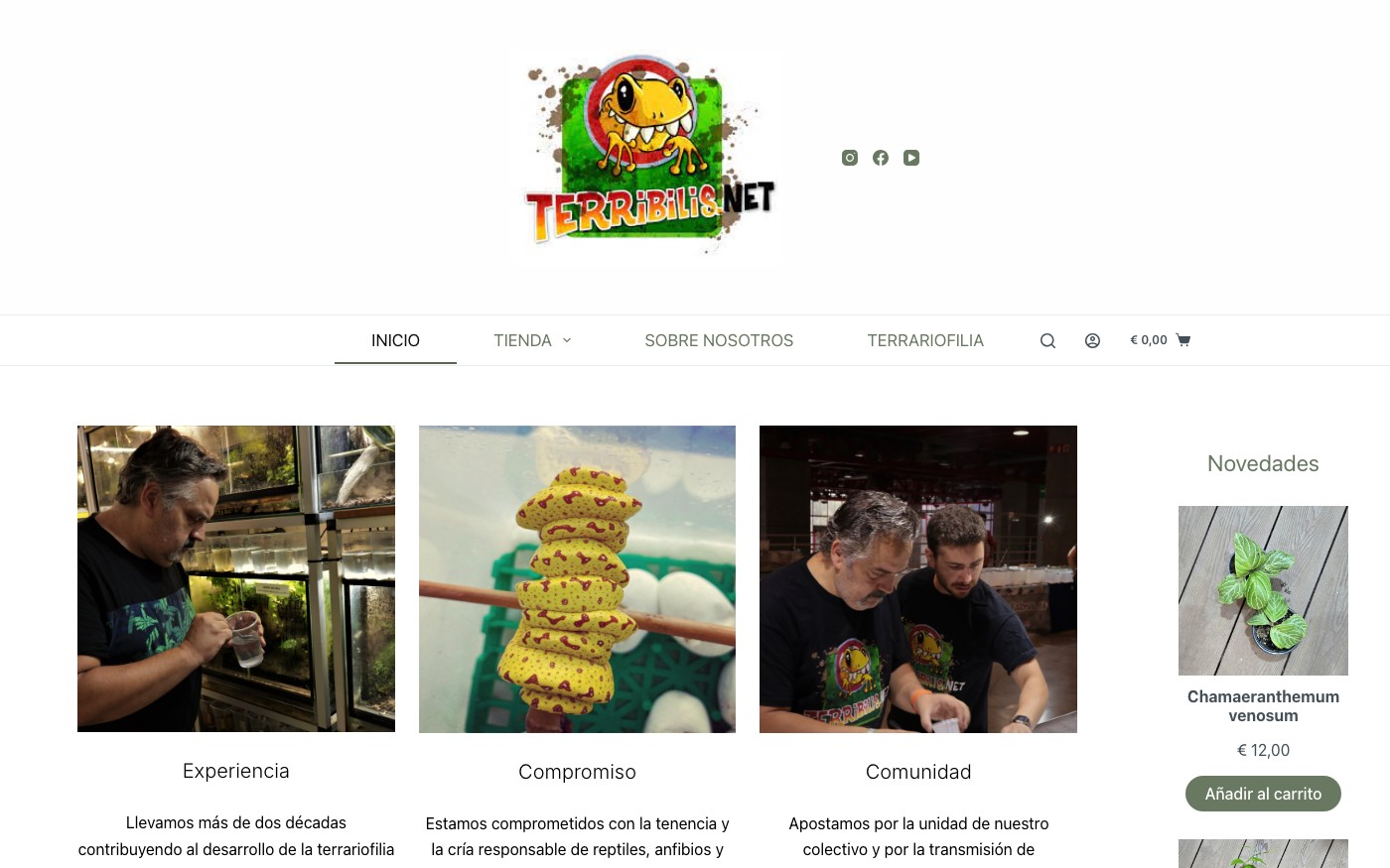 Captura de pantalla de la home de Terribilis