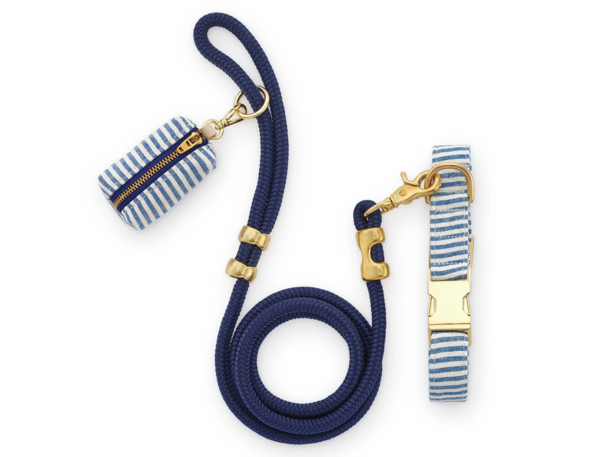 Lake Blue Stripe Collar Walk Set