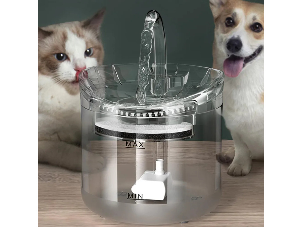Fuente de Agua Automática