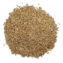 ALIMENTACIÓN | Tienda Ornitología