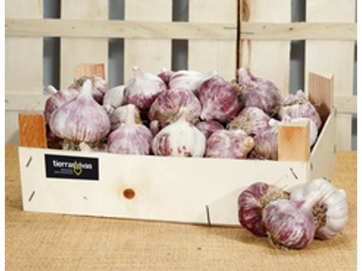 Ajo morado ecológico (250 gr) ¡NOVEDAD! 2.50 € COMPRAR