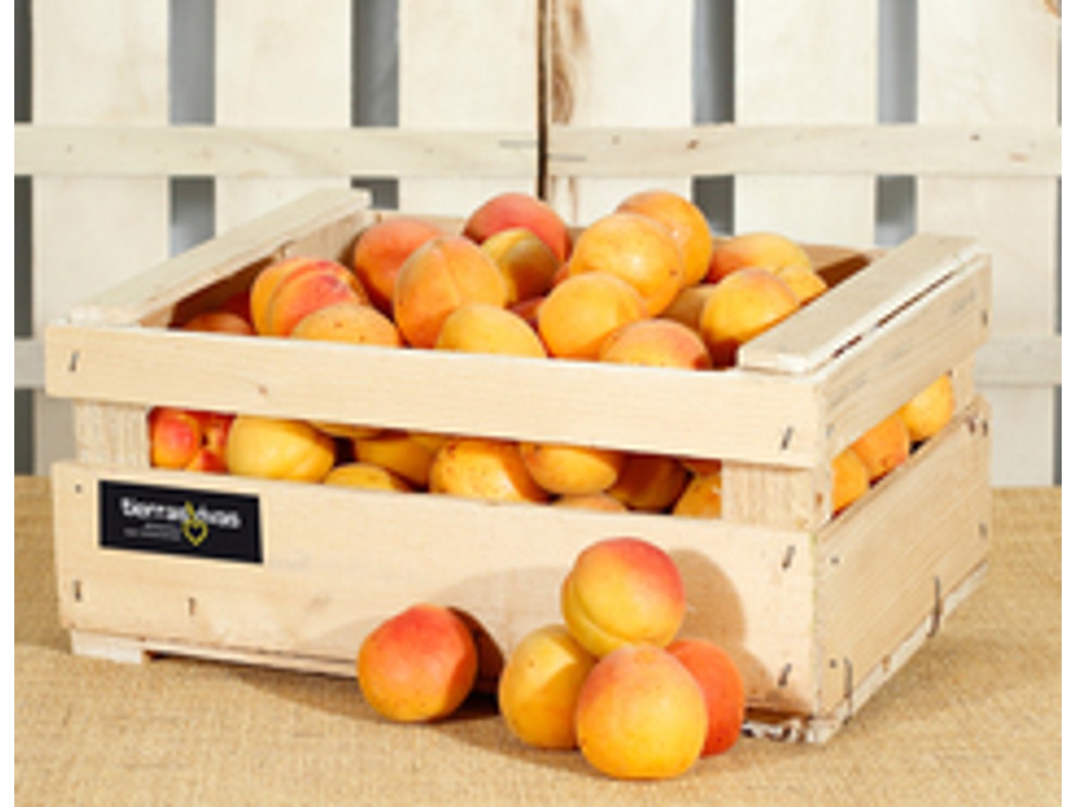 Albaricoque Ecológico (500 gr) 3.75 € COMPRAR