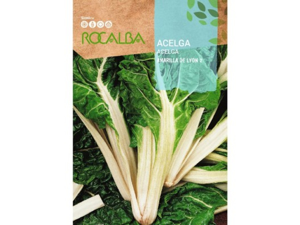 Semilla de Acelga Amarilla de Lyon