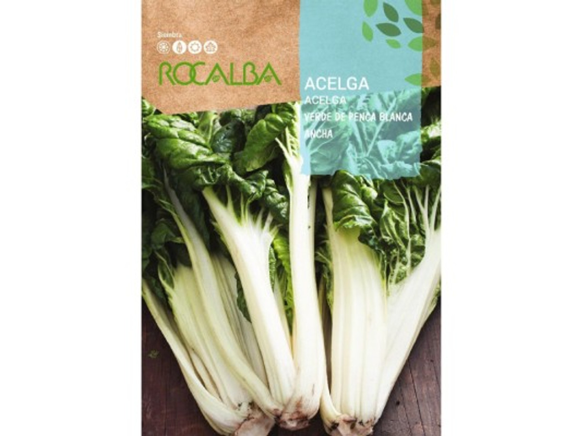 Semillas de Acelgas Verde Penca ancha Blanca