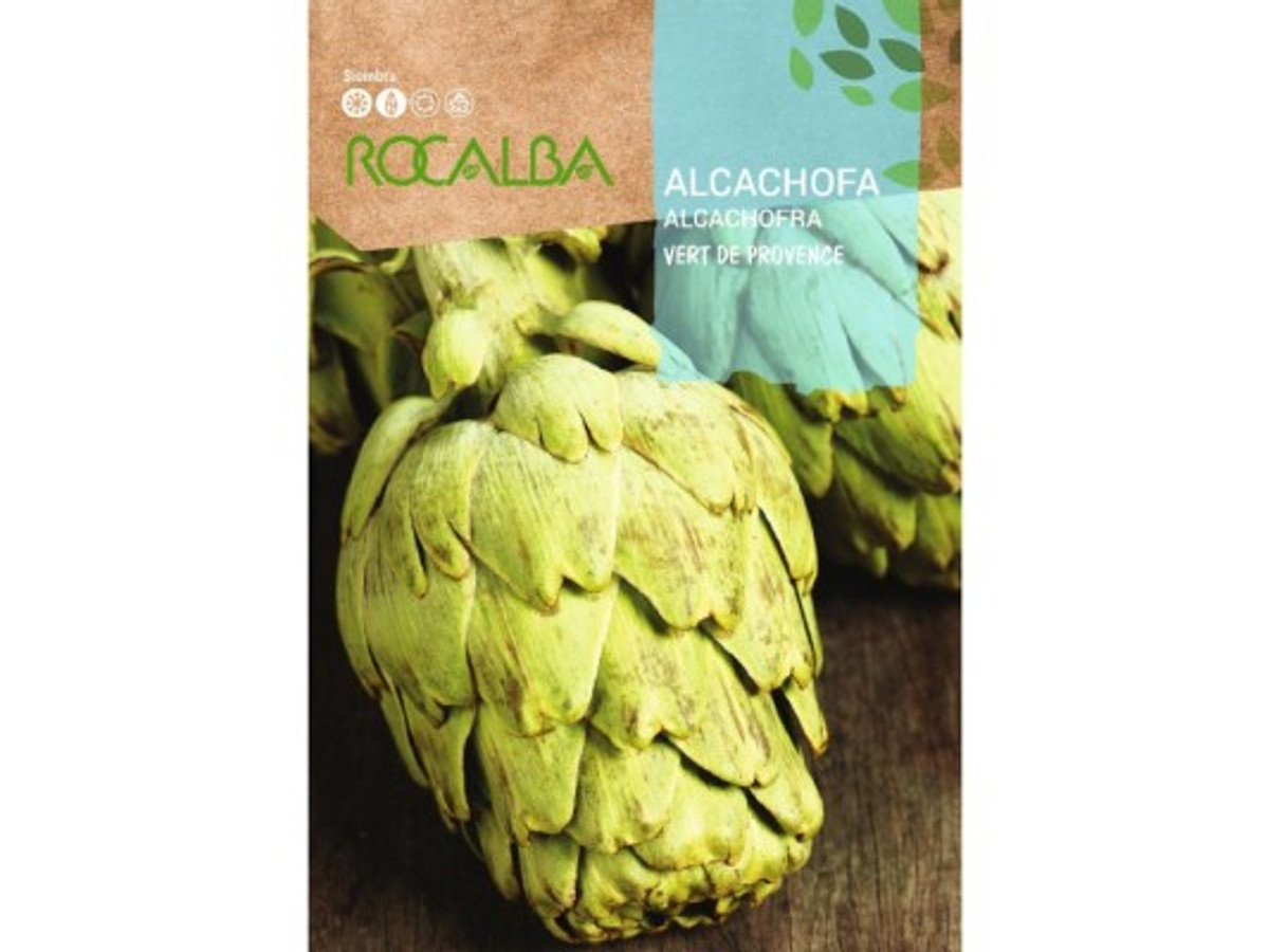 Semilla de Alcachofa