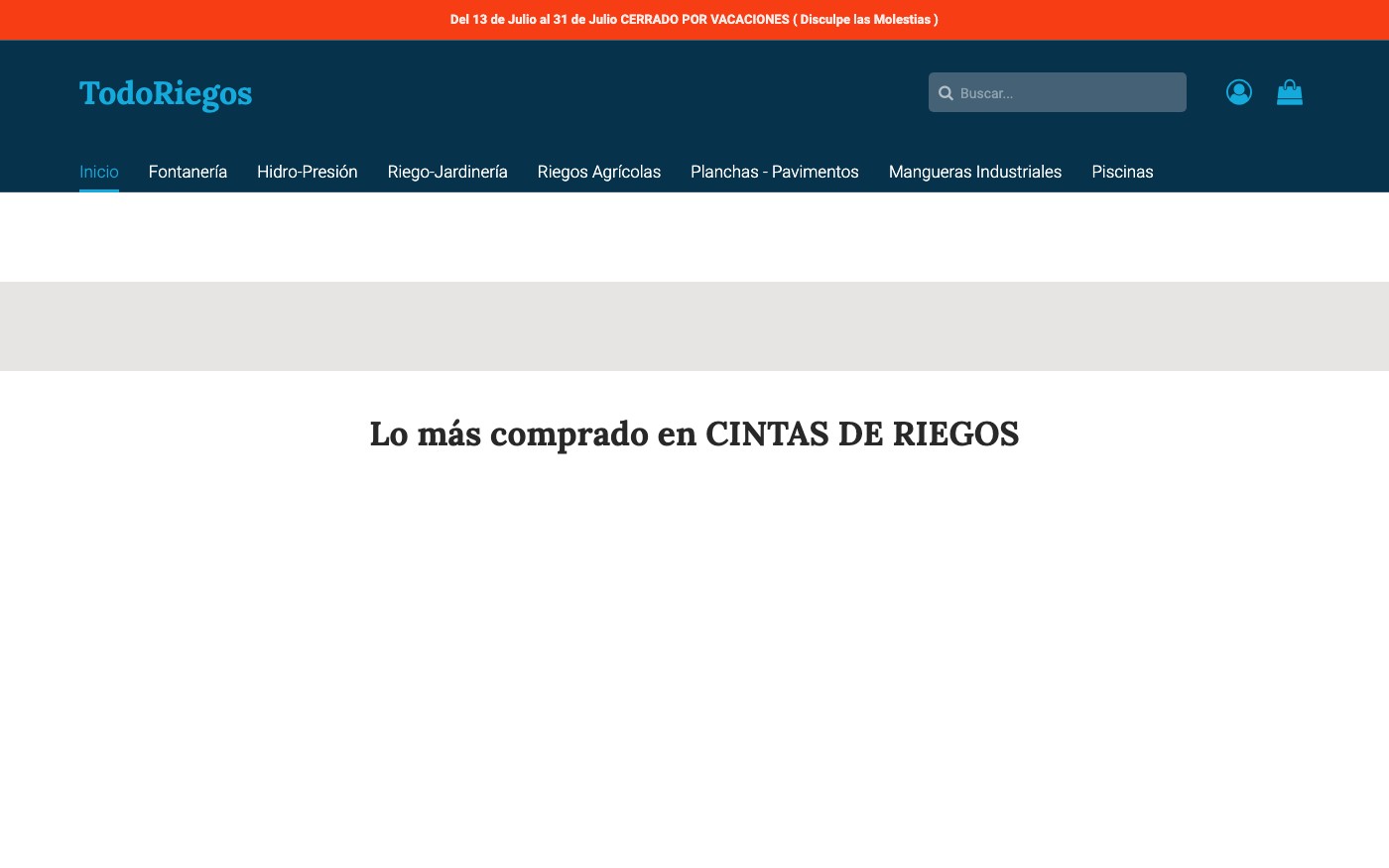 Captura limpia de la home oficial de TodoRiegos
