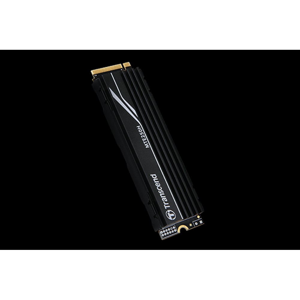 SSD MTE250H