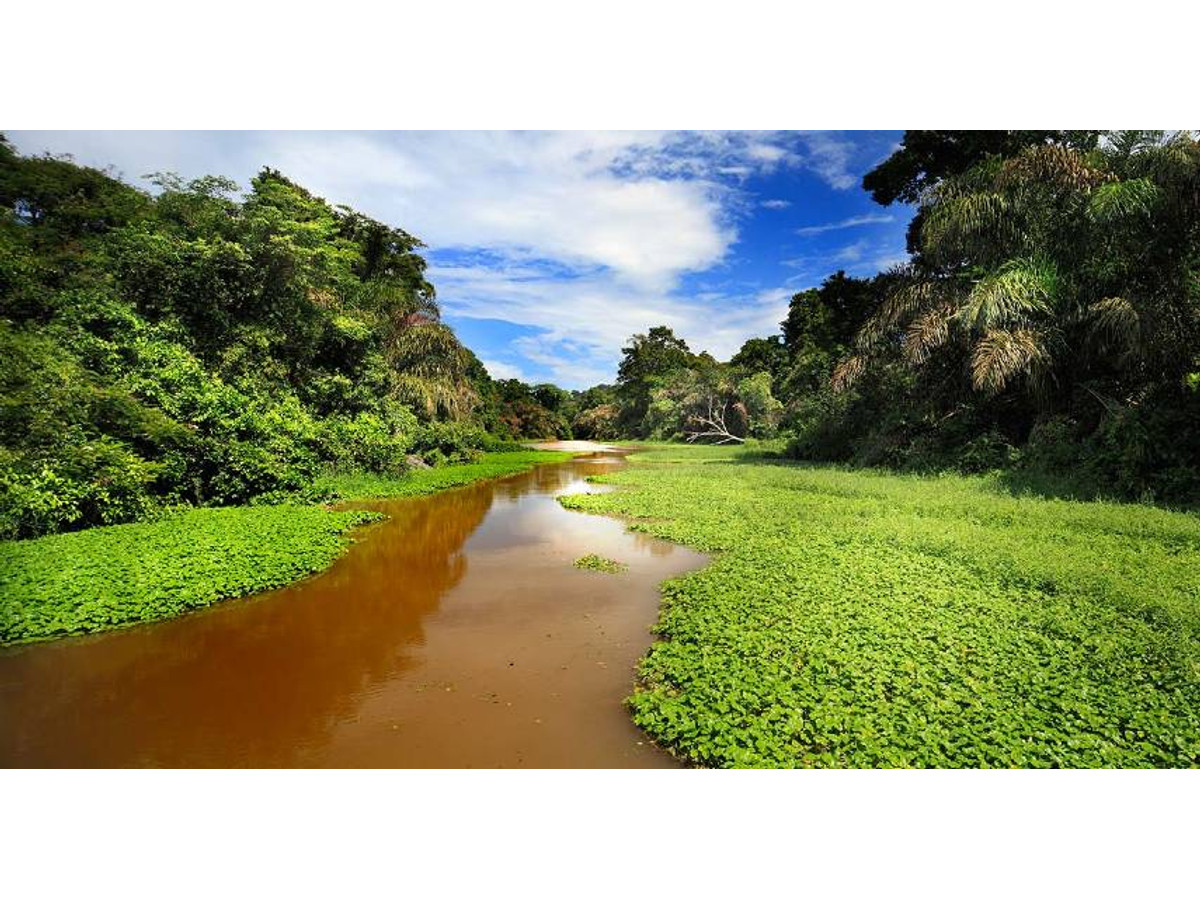 Viajes naturalistas en Costa Rica