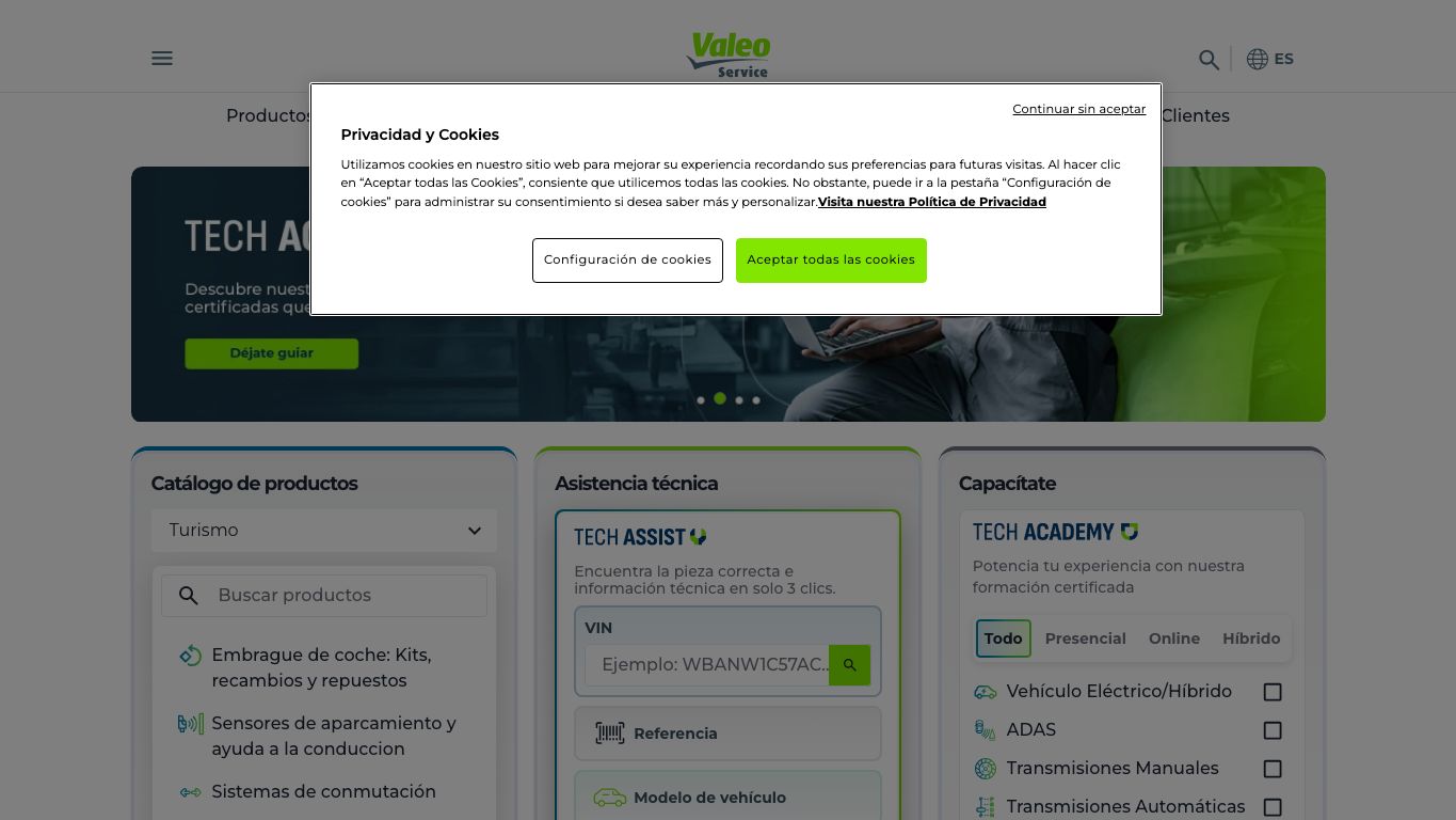 Captura de pantalla de la home de Valeo Service