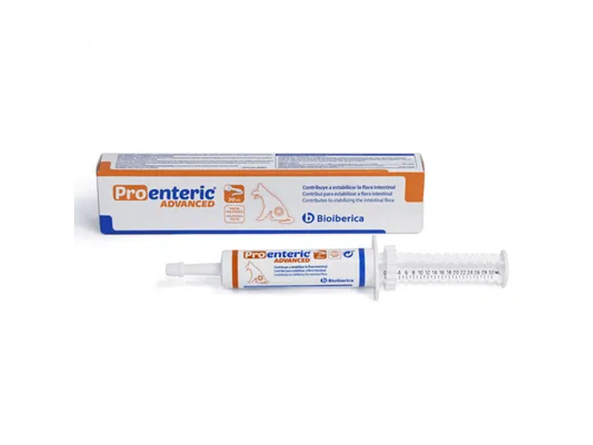 Antidiarréico gatos conejos y perros Pro Enteric Advanced
