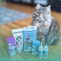 Produits d'hygiène pour chat