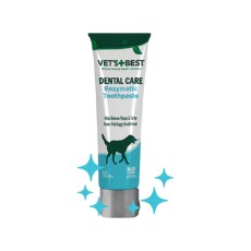 Dental Care