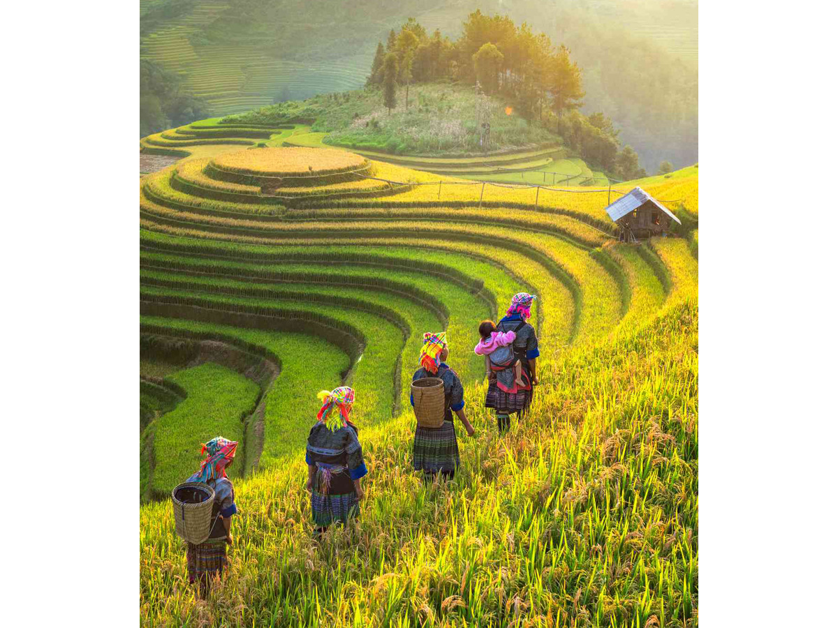Trekking en Vietnam
