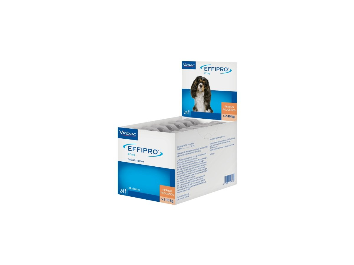 Effipro®: protección rápida y duradera contra pulgas y garrapatas para perros