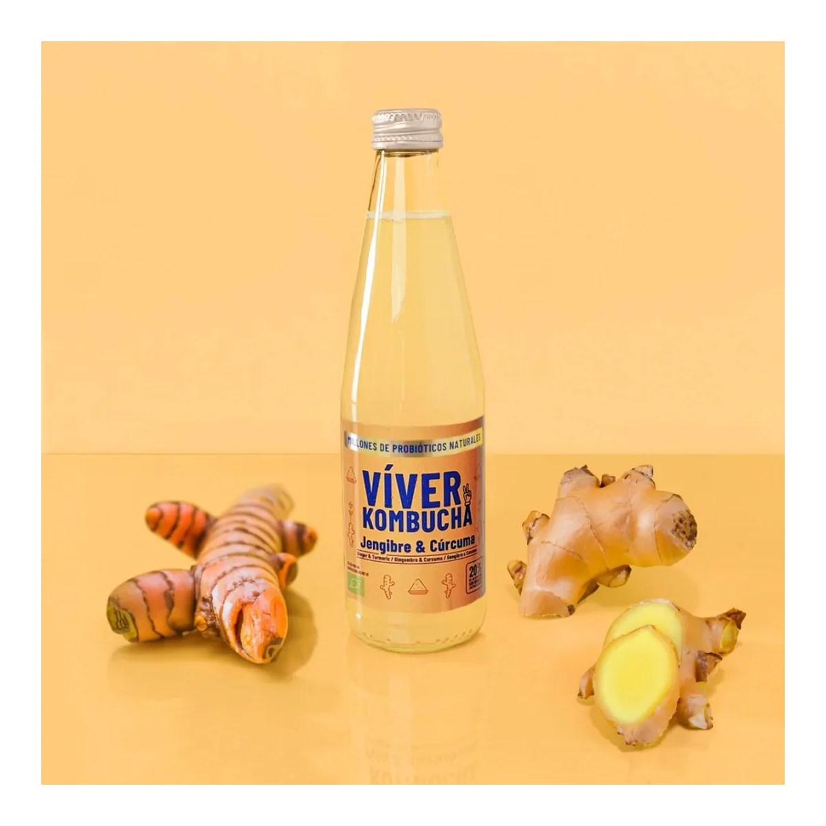 Víver Kombucha Jengibre y Cúrcuma