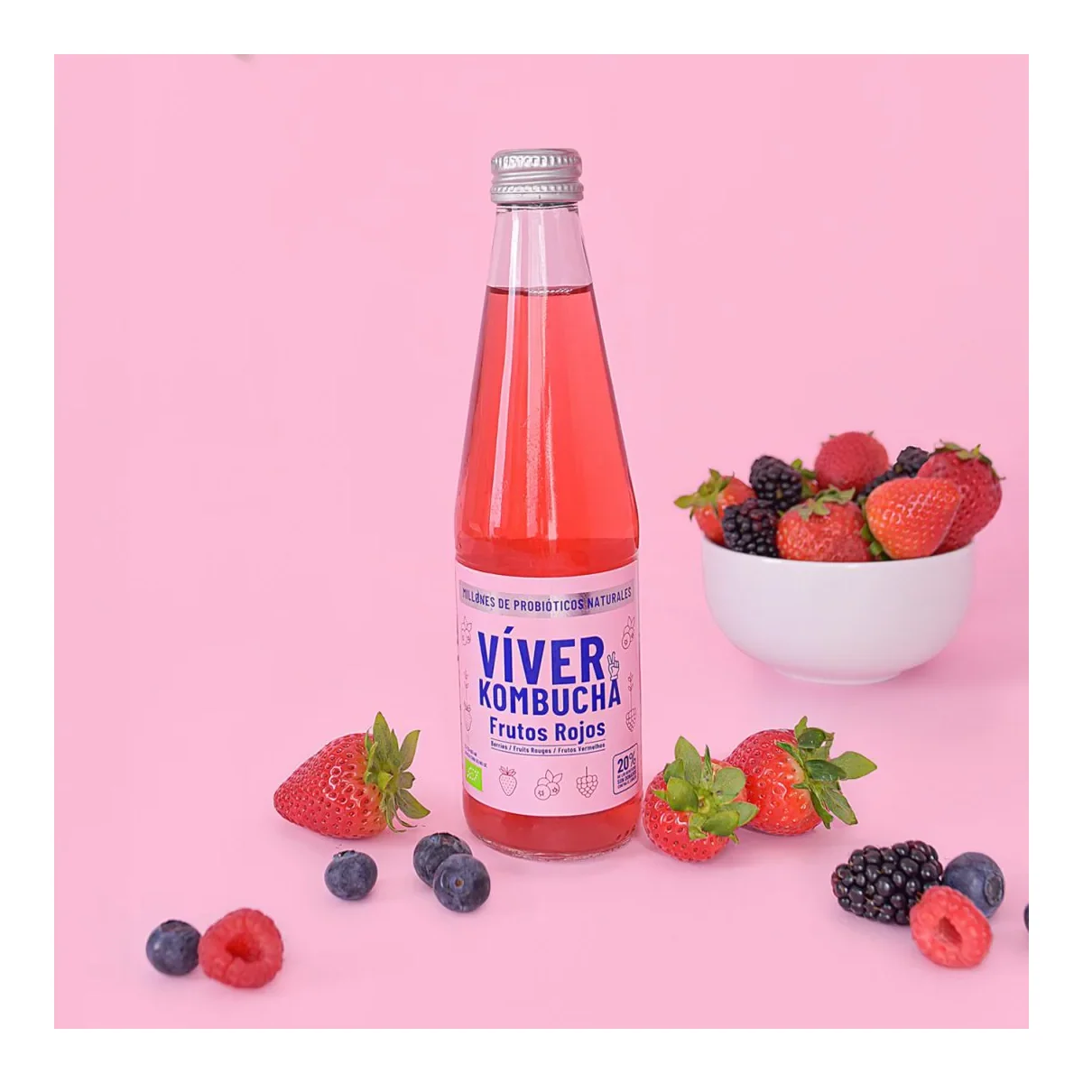 Víver Kombucha Frutos Rojos