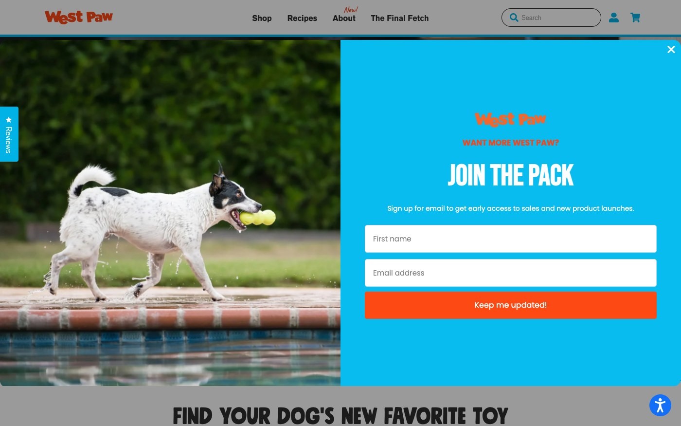 Captura de pantalla de la home de West Paw
