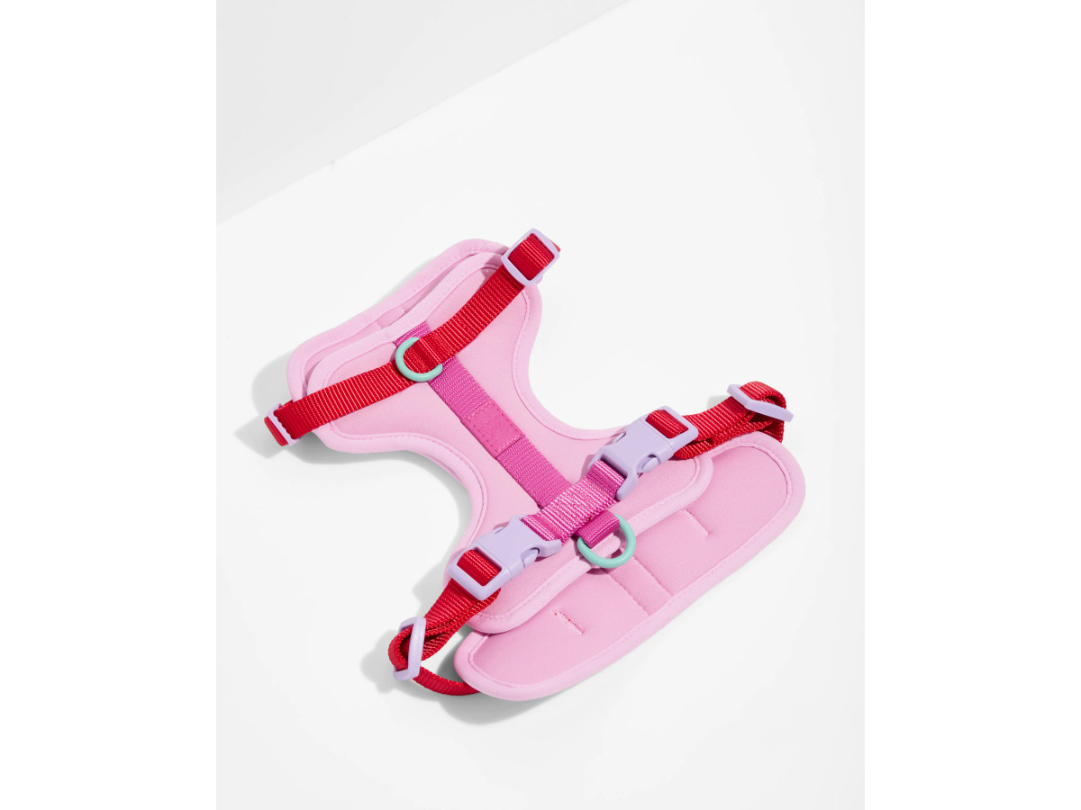 Classic Cushioned Dog Harness
