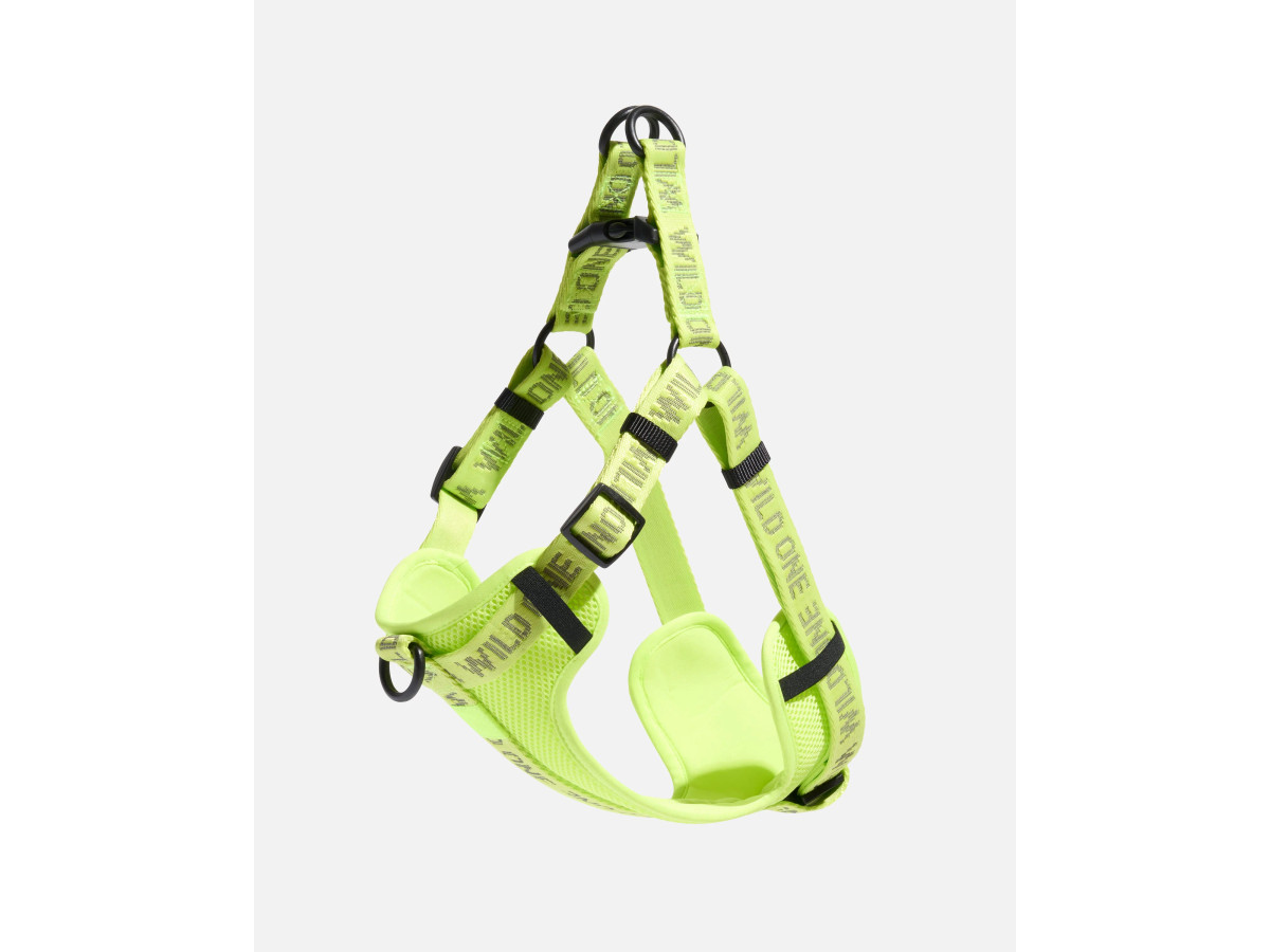 Step-In Dog Harness