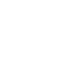 Logo de Winsor & Newton