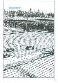 Dibujo original de Paco Roca: La Encrucijada